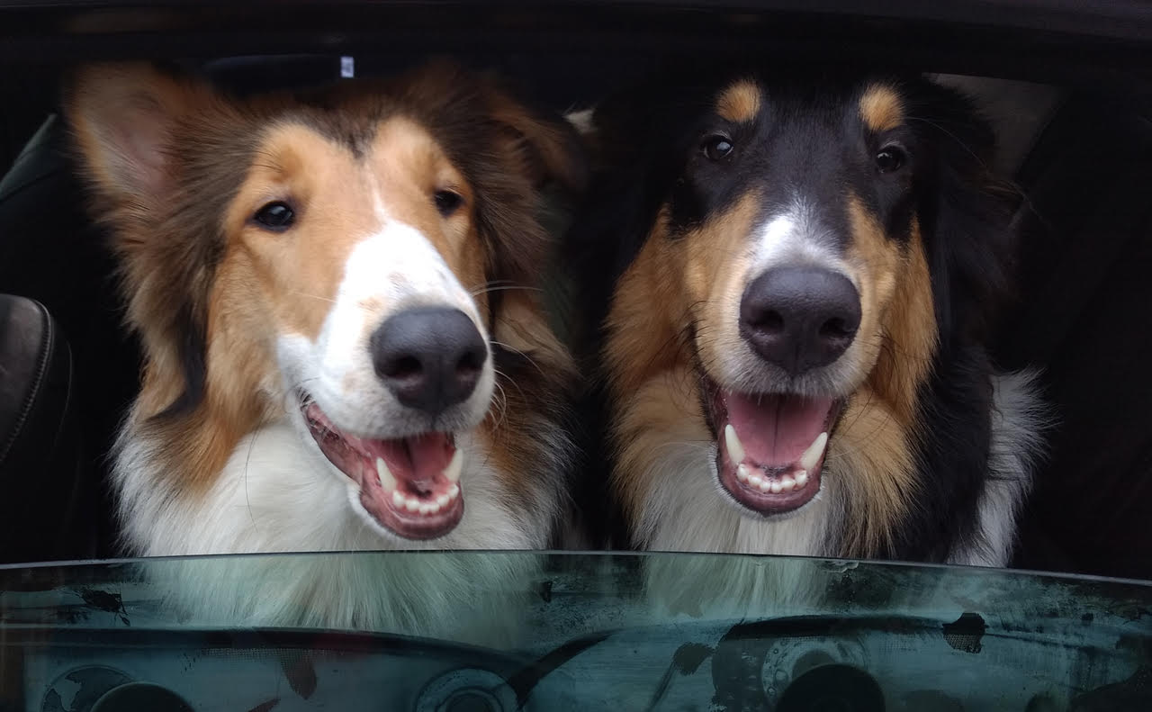 Emma and Davey on adventures