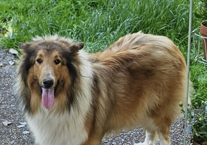 Frida
