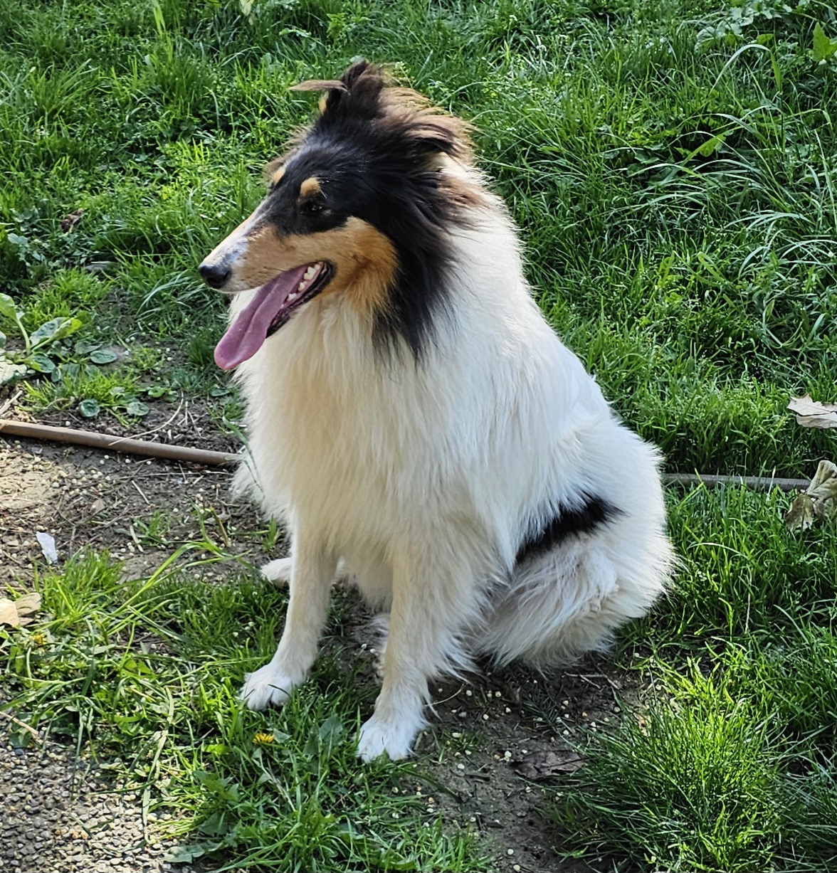 Vee